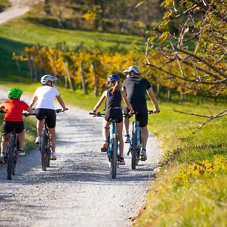 Mandi By Dimbikes 아파트 *