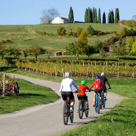 Mandi By Dimbikes Ajdovscina