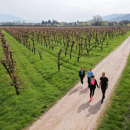 Mandi By Dimbikes 아파트 *