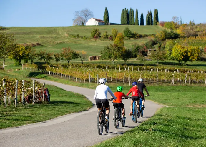 Mandi By Dimbikes Ajdovščina