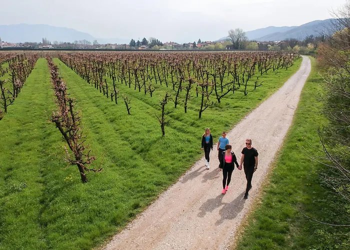 Mandi By Dimbikes Appartamento *